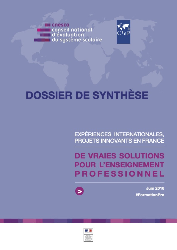 Dossier de synthèse : Enseignement professionnel
